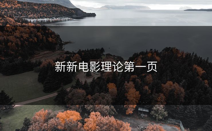 新新电影理论第一页