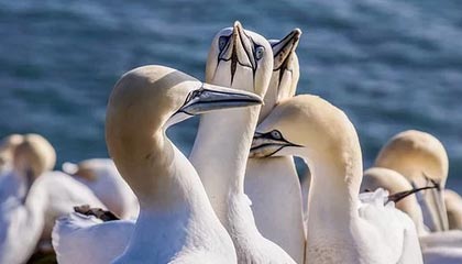 蘑菇影视在线观看深度揭秘：丑闻风波背后，大V在地铁站出口的角色空前令人意外