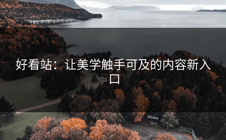 好看站：让美学触手可及的内容新入口