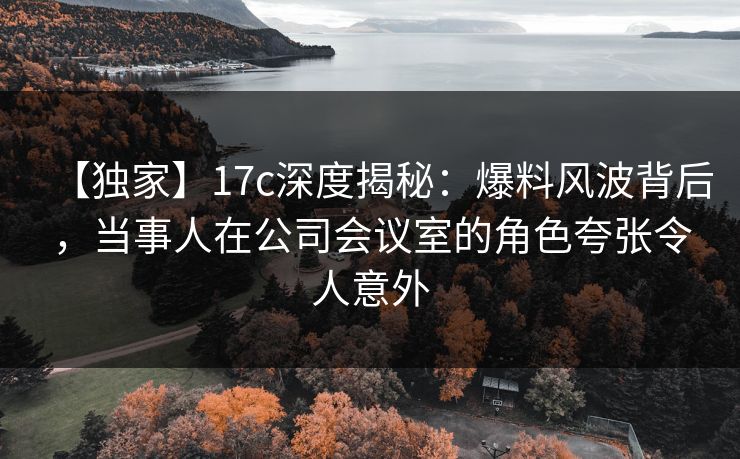 【独家】17c深度揭秘：爆料风波背后，当事人在公司会议室的角色夸张令人意外